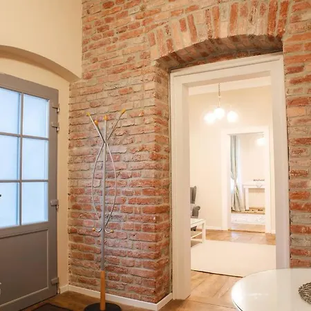 Charming In Historical Center Apartament Timişoara