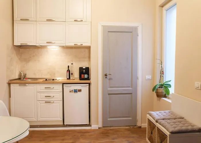 Apartamento Charming In Historical Center Timişoara