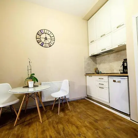 Charming In Historical Center Daire