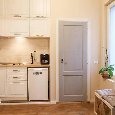 Apartment Charming In Historical Center Timişoara